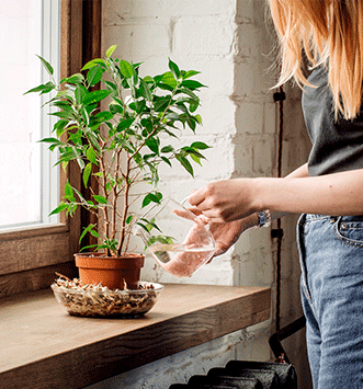 Mujer regando plantas de interiores