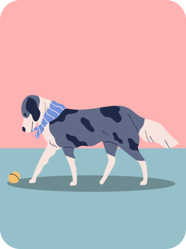 Ilustración mascota perro viendo pelota